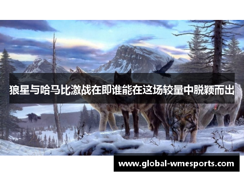 狼星与哈马比激战在即谁能在这场较量中脱颖而出